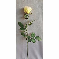 Umělá růže bílá, 69 cm
